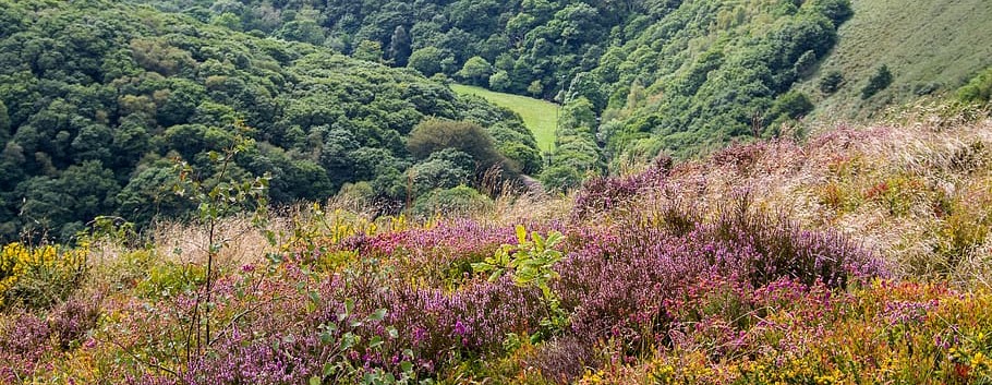 Exmoor National Park