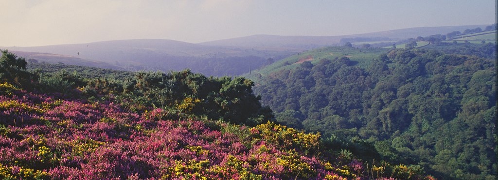 Exmoor National Park