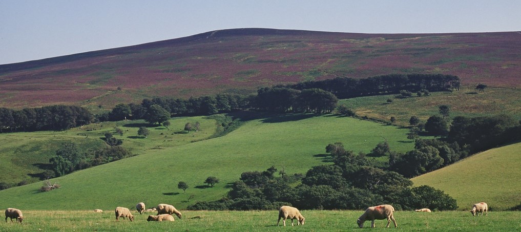 Exmoor National Park